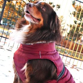 Alpine Extreme Cold Puffer Coat (Color: Burgundy, Size: X-Small)