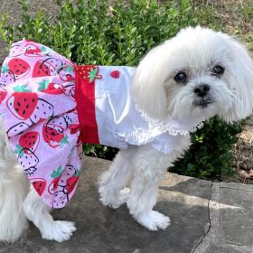 Strawberry Picnic  Harness Dress with Matching Leash (Size: X-Small)